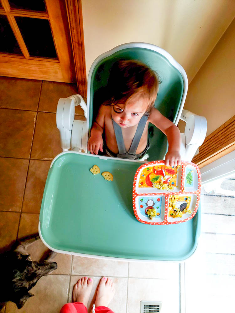 Oribel High Chair Cocoon Review